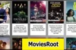 Moviesroot 2022 – Online HD Bollywood Hollywood Movies