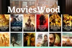 Movieswood 2022 – Tamil HD Movies Download Telugu Full Movie Download