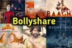 Bollyshare