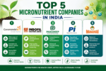 Top 5 Micronutrient Companies in India