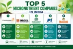 Top 5 Micronutrient Companies in India