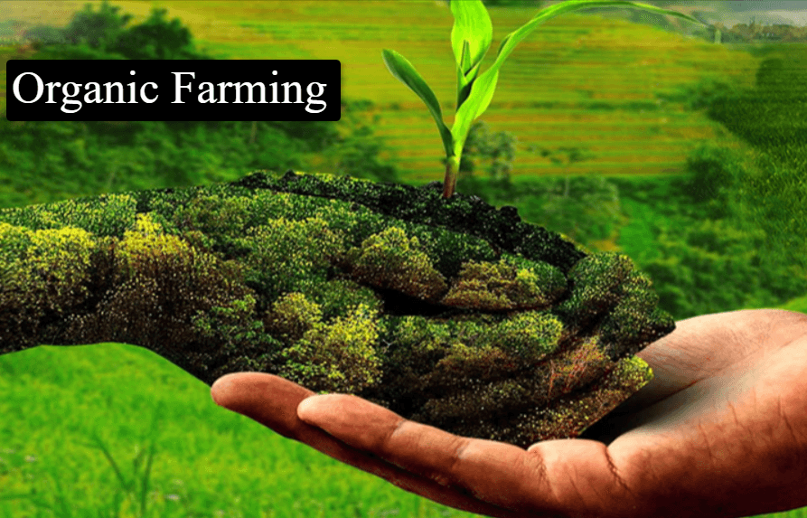 Organic farming